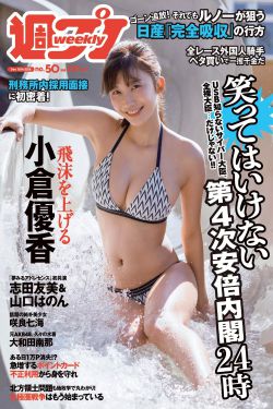 不二神探粤语